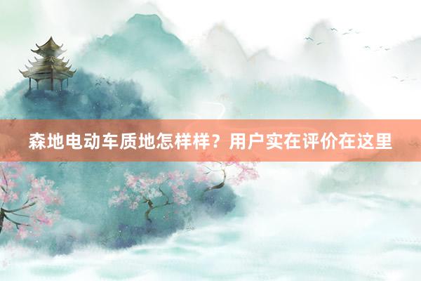 森地电动车质地怎样样？用户实在评价在这里