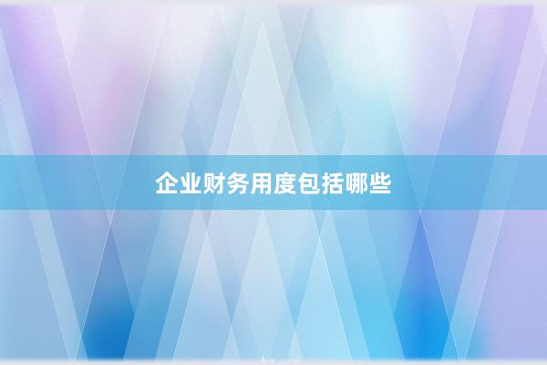 企业财务用度包括哪些